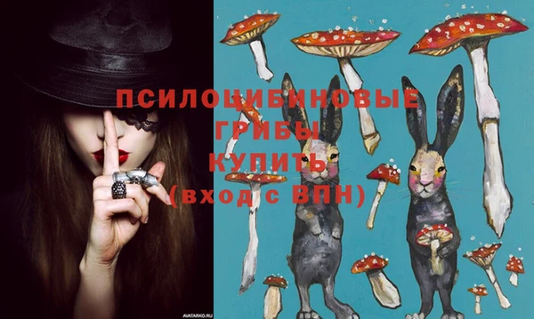 2c-b Белоозёрский