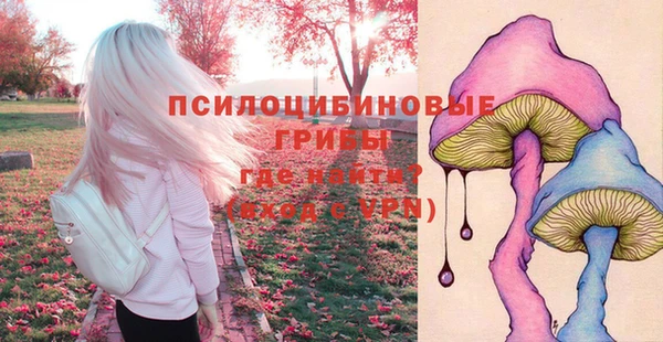 2c-b Белоозёрский