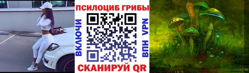 Псилоцибиновые грибы мухоморы  mega ссылка  Светлый 